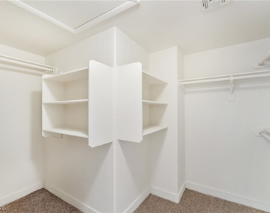 1310 Dusty Creek Street - Photo Thumbnail 9