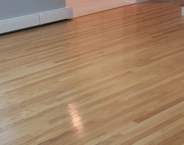4 Deerfield Rd - Photo Thumbnail 6