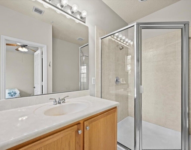 335 E Thatch Palm Circle - Photo Thumbnail 18