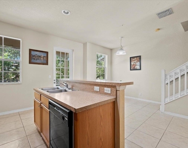 335 E Thatch Palm Circle - Photo Thumbnail 12