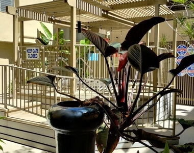 740 N Kings Road - Photo Thumbnail 31