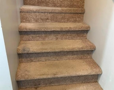 20 Tower Road - Photo Thumbnail 11