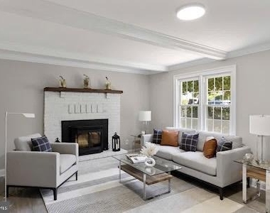 217 Chestnut Street - Photo Thumbnail 1