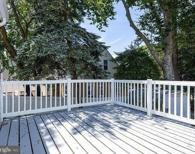 217 Chestnut Street - Photo Thumbnail 8