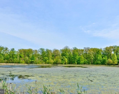 8006 Kingsmill Road - Photo Thumbnail 45