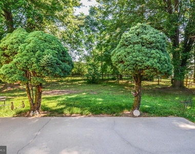 11309 Brandy Hall Lane - Photo Thumbnail 45