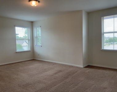 417 Cinnamon Teal Ln - Photo Thumbnail 11