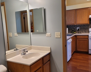 402 Waubonsee Drive - Photo Thumbnail 10