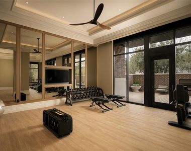 1717 Bissonnet Street - Photo Thumbnail 39
