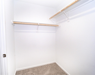 5610 Shelford Birch Drive - Photo Thumbnail 14