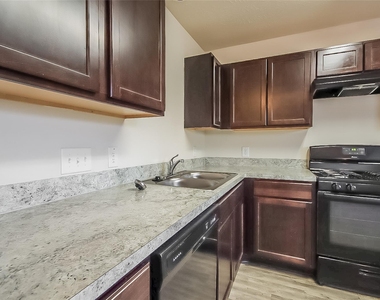 3002 Saluta Miata Court - Photo Thumbnail 3