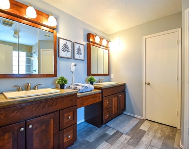 11007 Shumard Oak Court - Photo Thumbnail 14