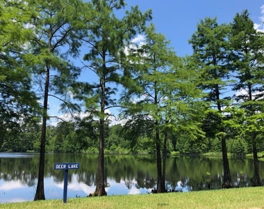 518 Bedias Creek Drive - Photo Thumbnail 8