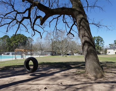 8786 Scarlet Oak - Photo Thumbnail 37
