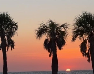 1270 Gulf Boulevard - Photo Thumbnail 57