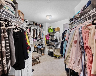 100 Beach Drive Ne - Photo Thumbnail 43