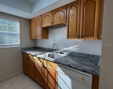 650 Pinellas Point Drive S - Photo Thumbnail 14