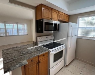 650 Pinellas Point Drive S - Photo Thumbnail 15