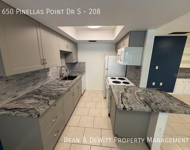 650 Pinellas Point Drive S - Photo Thumbnail 10