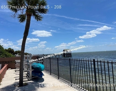 650 Pinellas Point Drive S - Photo Thumbnail 19