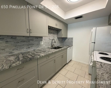 650 Pinellas Point Drive S - Photo Thumbnail 12