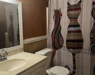3939 Ne 5th Avenue - Photo Thumbnail 16