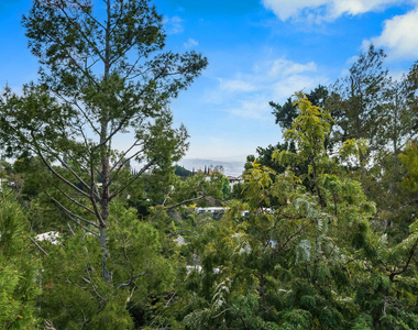 9234 Kinglet Drive - Photo Thumbnail 14