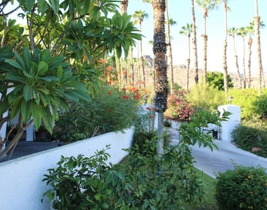 49340 Sunrose Lane - Photo Thumbnail 31
