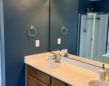 1706 Autumn Ridge Drive - Photo Thumbnail 17