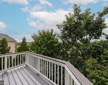 22739 Balduck Terrace - Photo Thumbnail 32