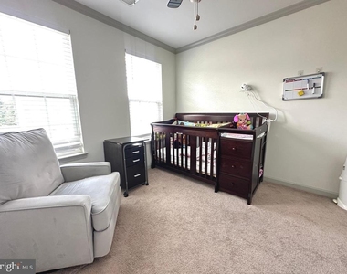 41719 Cynthia Terrace - Photo Thumbnail 16