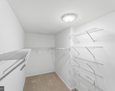 1431 Newport Springs Court - Photo Thumbnail 23