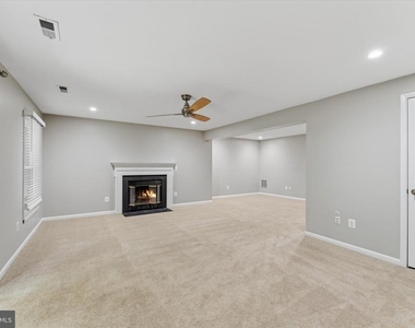 1431 Newport Springs Court - Photo Thumbnail 22