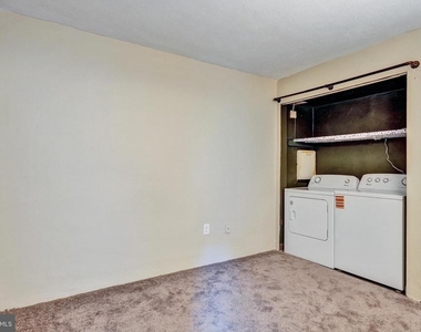 3323 Forest Lane - Photo Thumbnail 20