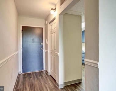 3323 Forest Lane - Photo Thumbnail 2