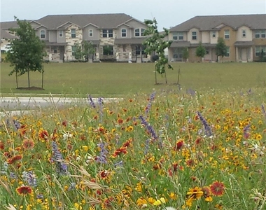 517 Katmai Cir - Photo Thumbnail 13