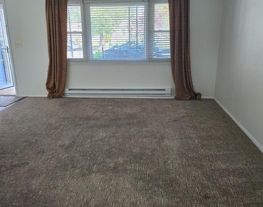 29 Marlborough Drive - Photo Thumbnail 17