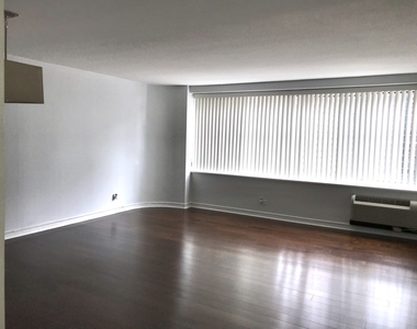 211 E Ohio Street - Photo Thumbnail 3