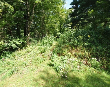 293 Barnumville - Photo Thumbnail 20