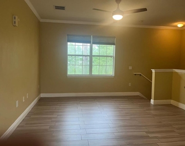 341 Southern Pecan Circle - Photo Thumbnail 4