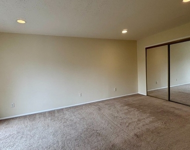 12 Spencer St - Photo Thumbnail 16