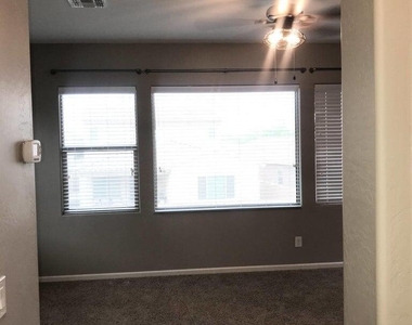 26217 N 121st Lane - Photo Thumbnail 14