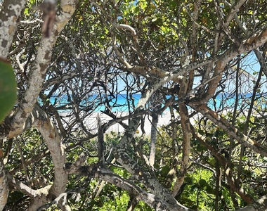 13480 Us Highway 1 - Photo Thumbnail 72