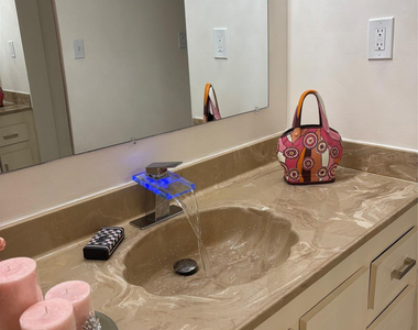 1100 Saint Charles Place - Photo Thumbnail 16