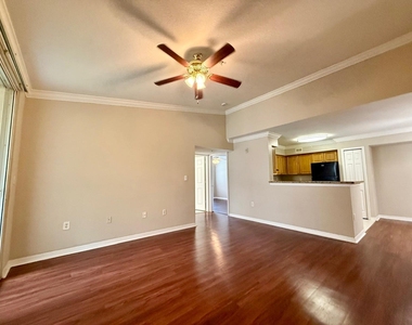 15135 Michelangelo Boulevard - Photo Thumbnail 2