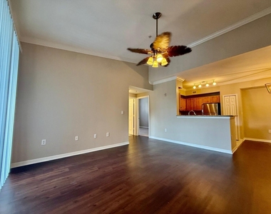 15145 Michelangelo Boulevard - Photo Thumbnail 1