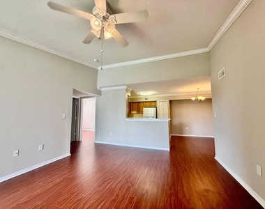 15155 Michelangelo Boulevard - Photo Thumbnail 2