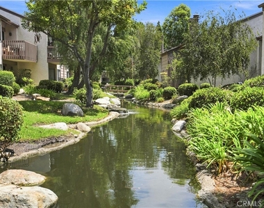 26701 Quail - Photo Thumbnail 26
