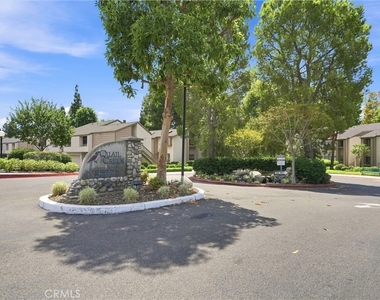 26701 Quail - Photo Thumbnail 29