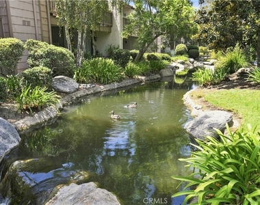 26701 Quail - Photo Thumbnail 27